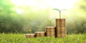 carbon credits