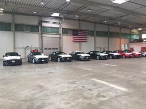 GSL 1st Mustangs Ever Transported Across the Atlantic in Containers