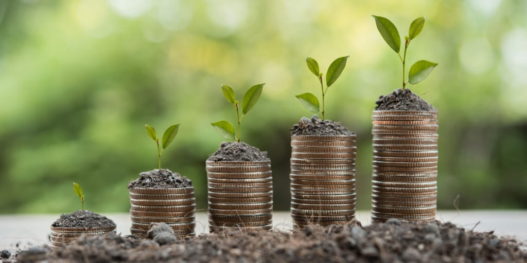 carbon credits