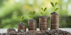 carbon credits