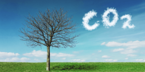 Reduce Carbon Emissions
